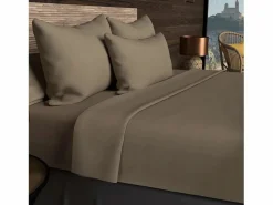 Clearance Soleil d'ocre Funda de almohada rectangular US 50x75 cm en algodón liso 57 hilos taupe Topo