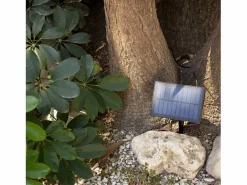 Outlet Ledkia Guirnalda de Bombillas LED Solar Exterior Kuiper 7m Blanco
