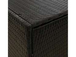 Best Garden Furniture Herber Armario de jardín 100x55,5x80 cm Ratán sintético Negro