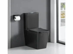 Clearance STANO Inodoro cerámica BRAGADO cisterna baja mate Negro