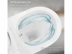 Online Inodoro sin borde Inodoro suspendido Softclose Nanorrevestimiento Tapa corta Fun Inodoro Suspendido