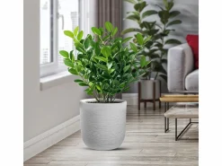 Jarrón de resina de interior y exterior para plantas cilíndricas de diseño d.35x34h Raffaello Bianco