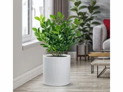 Online Jarrón de resina para plantas de interior y exterior, diseño cilíndrico redondo d.36x35h Modigliani Blanco