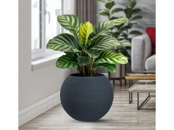 Clearance Jarrón de resina para plantas de interior y exterior, diseño esfera redonda d.40x33h Botticelli Jarrón