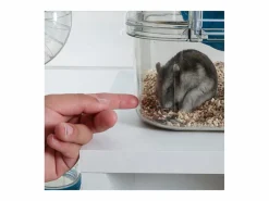 Online Jaula para roedores pequeños Rody 3 trío Transportín De Paseo Para Animales