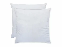 Hot Juego de 2 almohadas anti-transpiración - 550 gr - - 60 x 60 cm - HAELIA Almohada