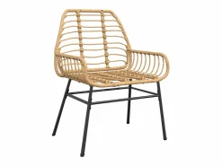Clicnbuy Juego de comedor jardín 5 piezas ratán sintético marrón