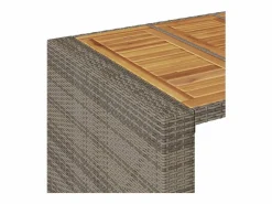 Hot Karaca Mesa alta jardín superficie madera ratán PE 105x80x110 cm Mesa Alta