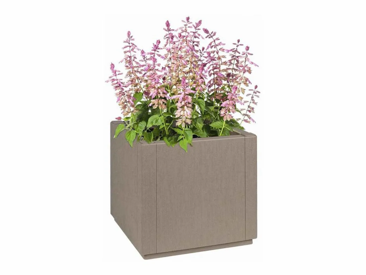 Hot Maceta para Jardín | Jardinera | Macetero 36 x 36 x 35 cm Polipropileno Macetero