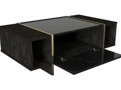 Clearance Mesa de centro - 1 puerta y 2 estantes - Efecto mármol negro y dorado - CADEBA Mesa De Centro