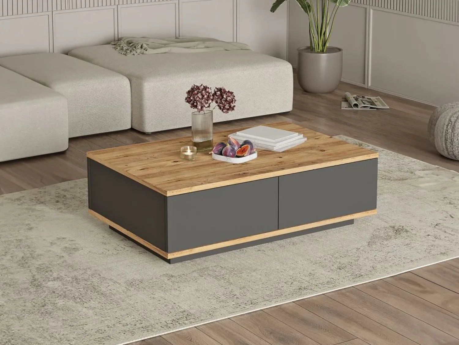 Outlet Mesa de centro con 2 puertas - Natural Claro y Antracita - LOTULA Mesa De Centro