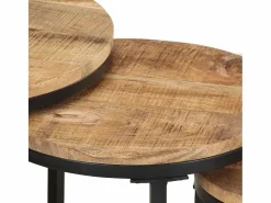 vidaxl Mesitas auxiliares 3 Piezas madera de mango rugosa