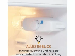 Outlet Mininevera retro, 92 L en total, congelador de 28 L, refrigerador de 64 L, clase energética D, LED, diseño moderno, color (105,5 x 41 x 45,5 cm) Electrodomésticos De Frío