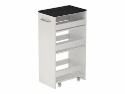 New Mueble con ruedas blanco/antracita 30x46x84.8 rivo Mueble Camarera