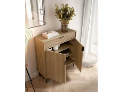 Herdasa Mueble zapatero/armario - A89cm x L90cm x P29cm roble dorado - Alice