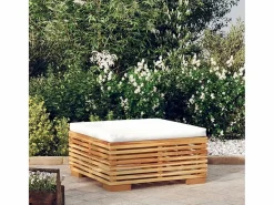 Garden Furniture Niren Taburete de jardín con cojín color madera maciza teca