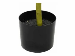 Olivo artificial 450 hojas 120 cm