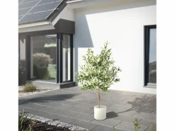 ML-DESIGN Olivo artificial Plantas artificiales Árbol artificial Planta artificial en mace