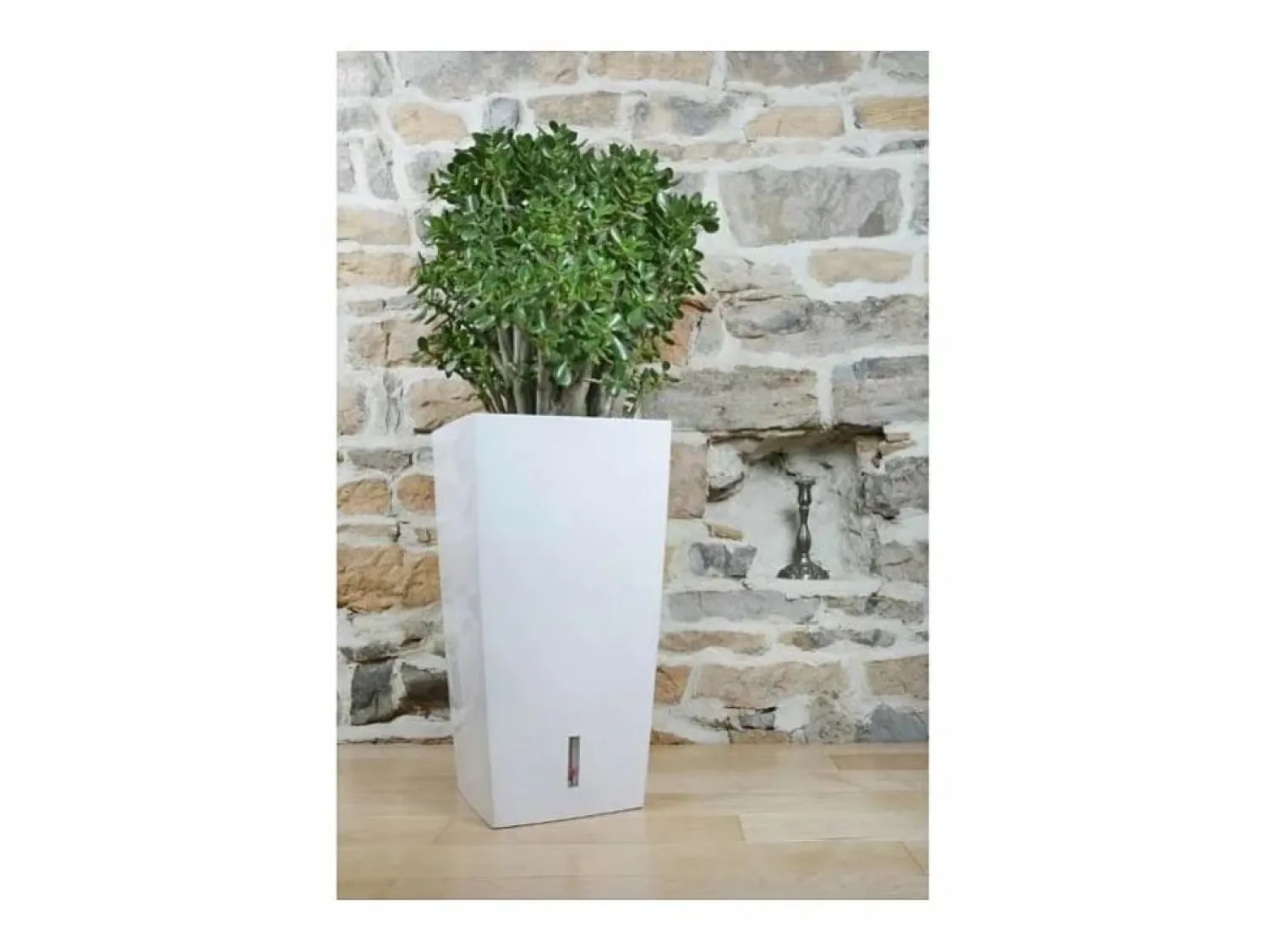 Best Riviera Olla cuadrada de plástico con reserva de agua 52 cm Eva Blanco