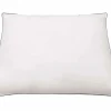 vidaxl Pack de 2 almohadas de plumón consistencia ligera blanco 80x80 cm