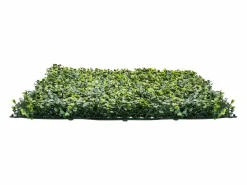 Online Paneles de Césped Artificial, SucceBuy Panel de Pared de Césped Artificial de 300 × 150 cm, Milán, para Privacidad y Decoración Verde