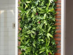 Vente-unique Pared vegetal sintética , protección anti-UV, pack de 3m², IKAZ