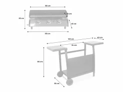 Hot Plancha de gas de 3 quemadores 7,5kw + carro Plancha Cocina