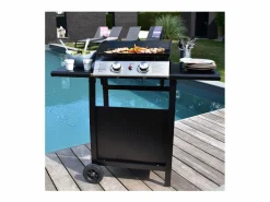 Happy Garden Plancha de gas MALA 2 quemadores 5kW + carrito