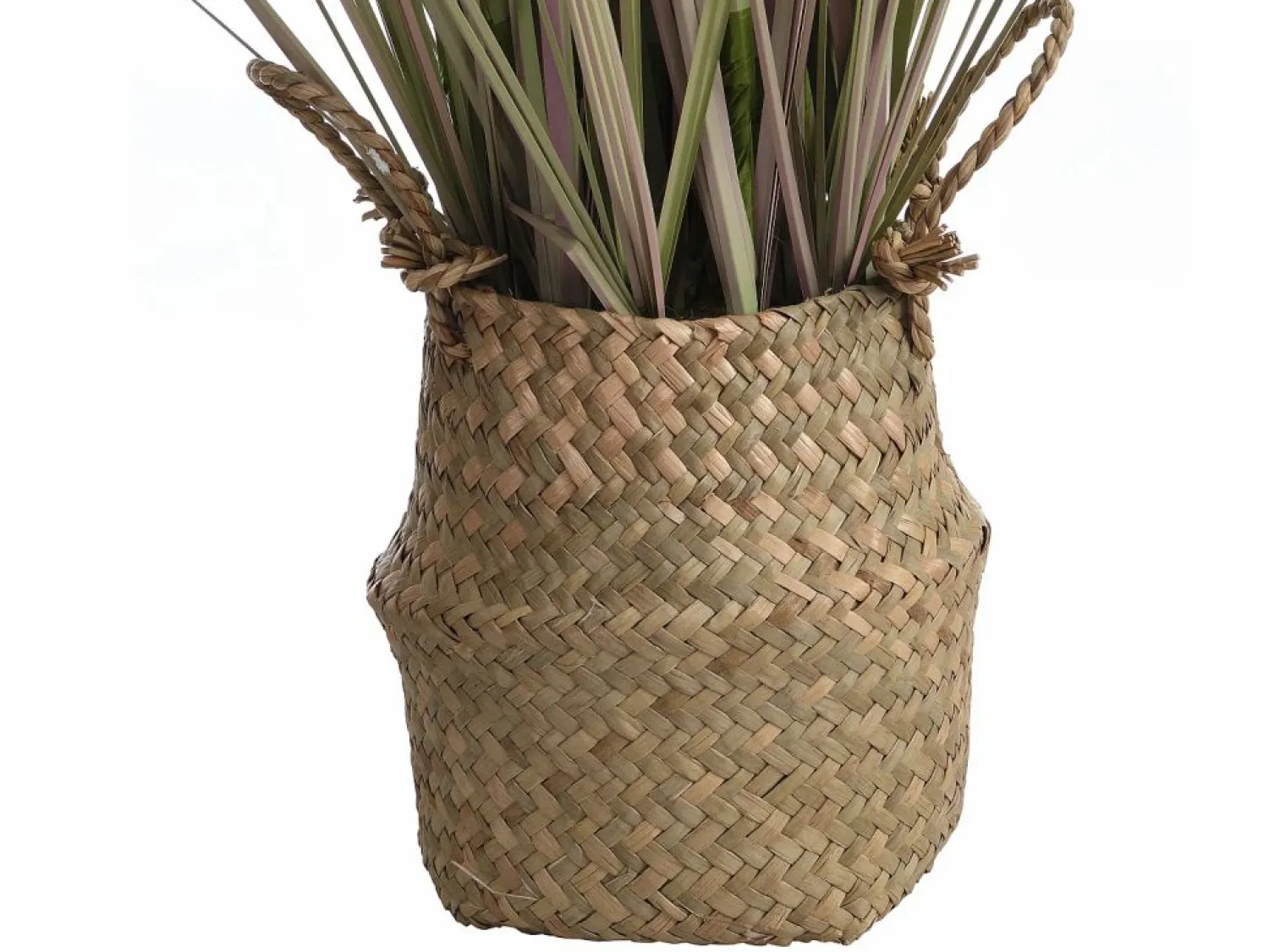 Clearance OZAIA Planta, arbusto, árbol gramínea artificial - Alt. 80 x Ancho 30 cm- - BEGURA Verde