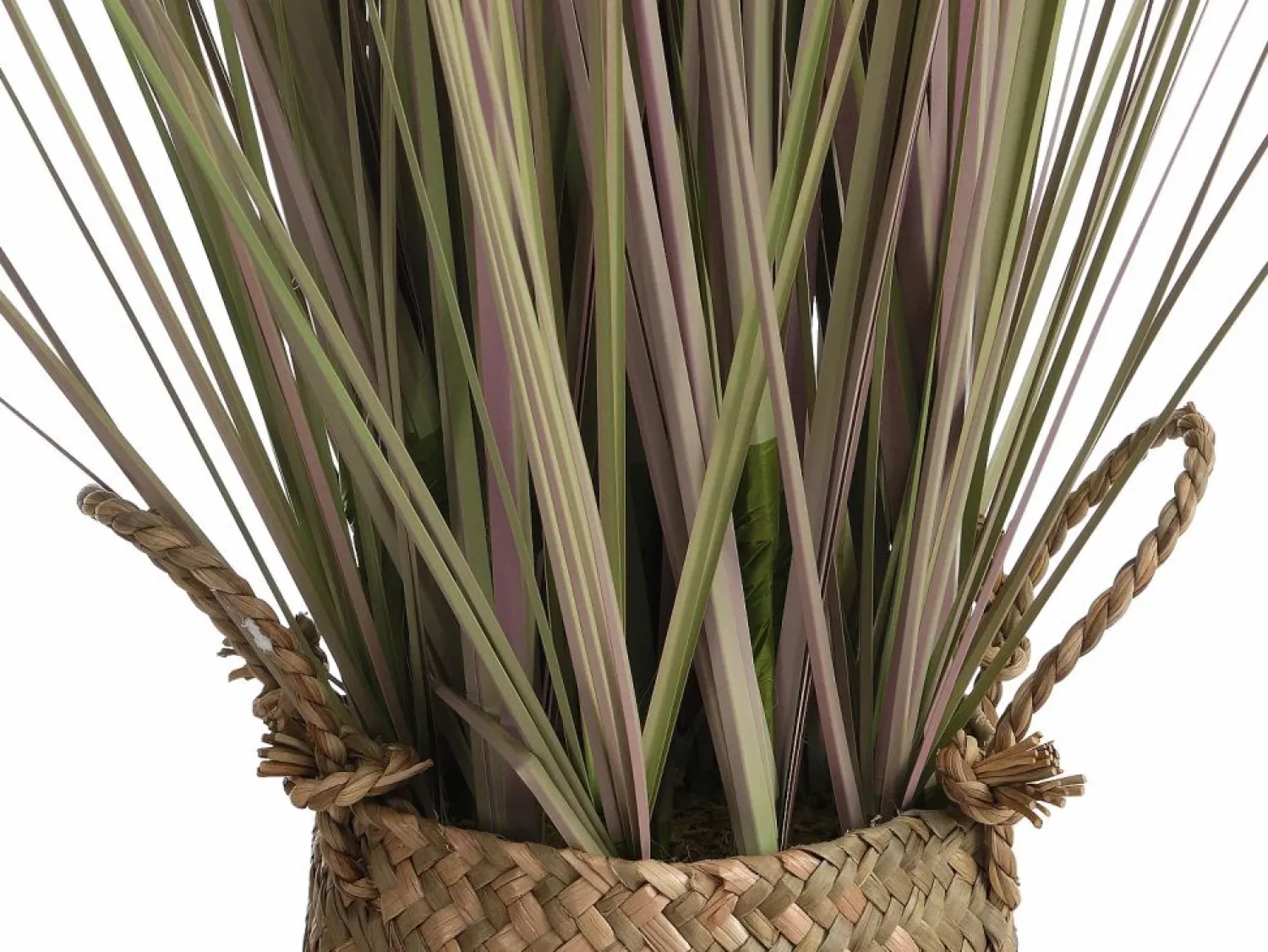 Clearance OZAIA Planta, arbusto, árbol gramínea artificial - Alt. 80 x Ancho 30 cm- - BEGURA Verde