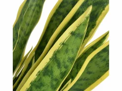 Clearance Planta artificial con maceta Sansevieria 65 cm Verde