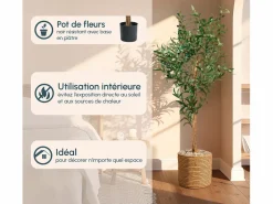 MB Muebles Bonitos Planta artificial para Salón comedor en 60x60x145cm Olivo