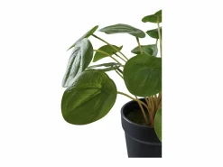 House Nordic Planta artificial Pilea Planta china del dinero verde 28 cm