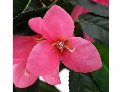 Outlet Planta de rododendro artificial con maceta de 155 cm, y rosa Verde