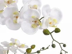 OZAIA Planta, flor artificial orquídea - Alt. 65 x Ancho 54 cm- Blanco -TARA