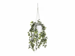 New Planta, vegetación, artificial - plástico - Alt. 170 x Ancho 20 cm - verde- BAHIANA Planta Artificial