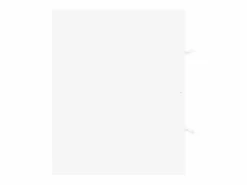 Garden Furniture Prolenta Premium - Armario para lavabo madera contrachapada blanco 100x38,5x48 cm Multicolor