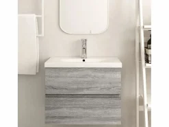 Garden Furniture Prolenta Premium - Mueble de lavabo madera de ingeniería gris Sonoma 60x38,5x45 cm Multicolor