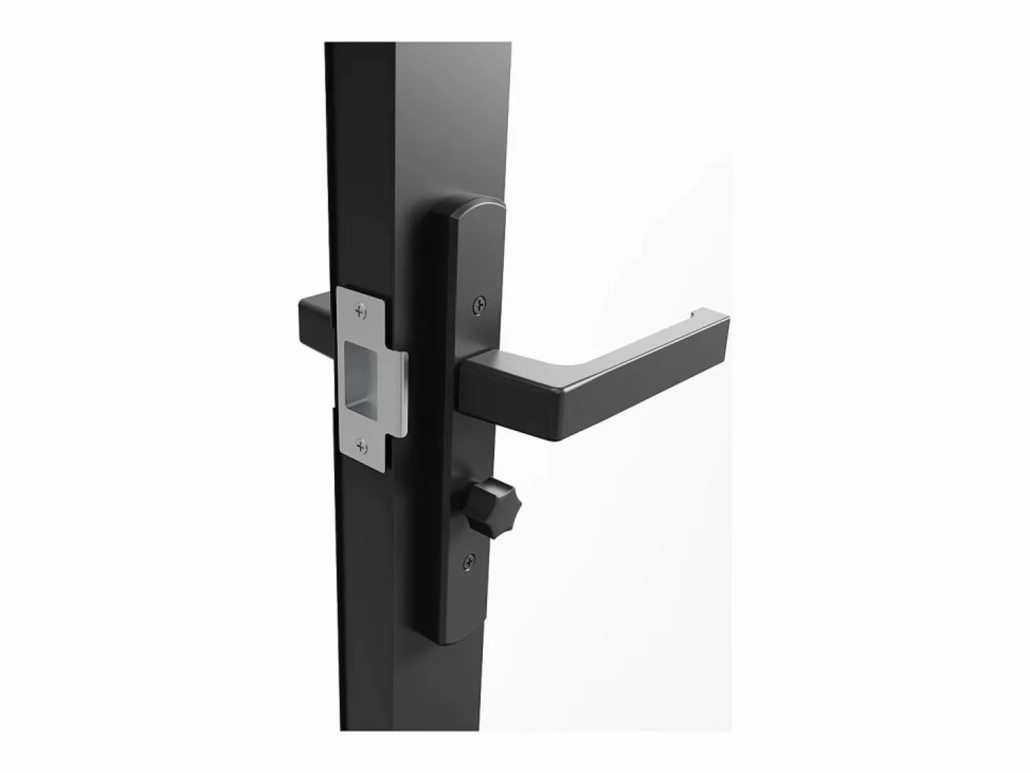 Outlet Puerta reversible de doble hoja - vidrio esmerilado - 2 x Al 204 x An 93 cm - LOXTON Puerta Con Marco