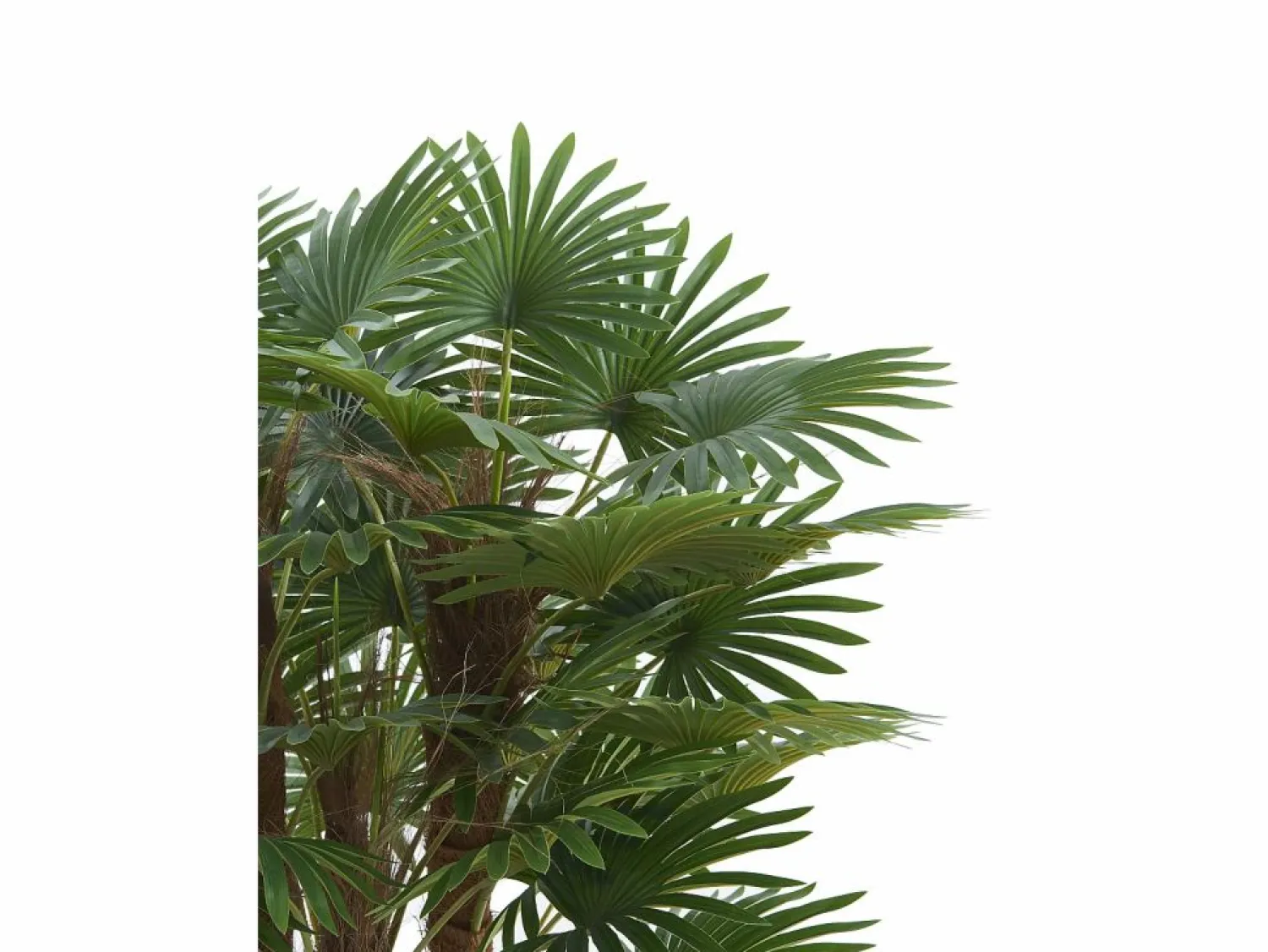 Best Árbol artificial tipo palmera con tronco natural RHAPIS Planta Artificial