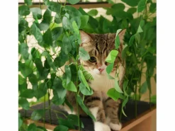 Online Merax Árbol para gatos - 60 x 45 x 190 cm - con 4 plataformas + agujeros para gatos - hojas extraíbles - MDF - Verde