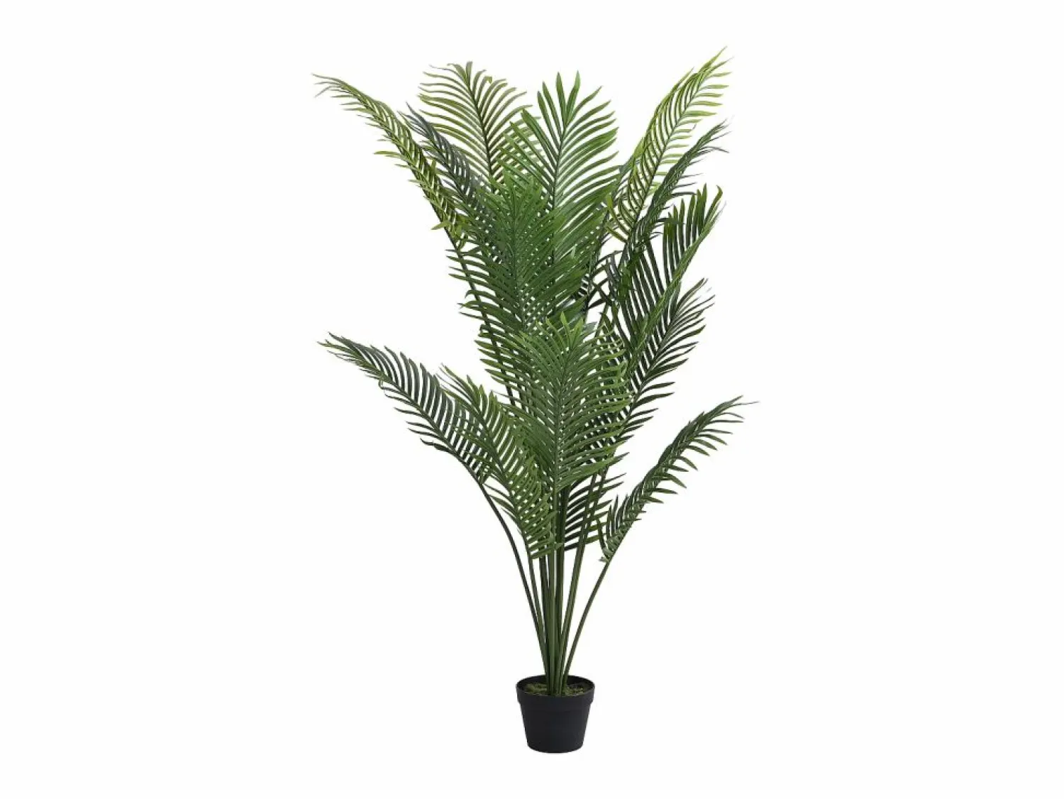 OZAIA Árbol, planta, arbusto artificial palmera - Alt. 170 x Ancho 80 cm - - PALMITA