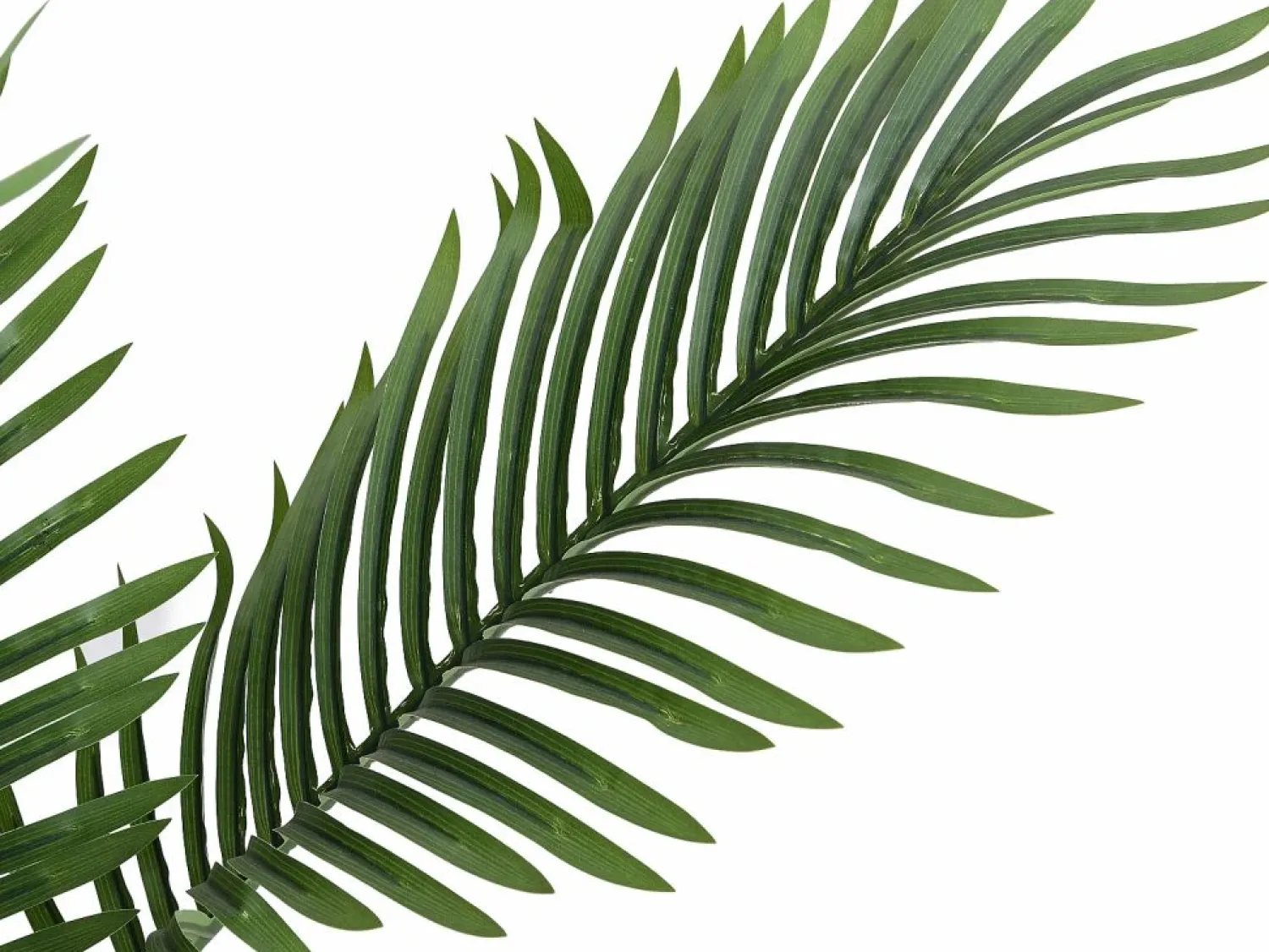 OZAIA Árbol, planta, arbusto artificial palmera - Alt. 170 x Ancho 80 cm - - PALMITA