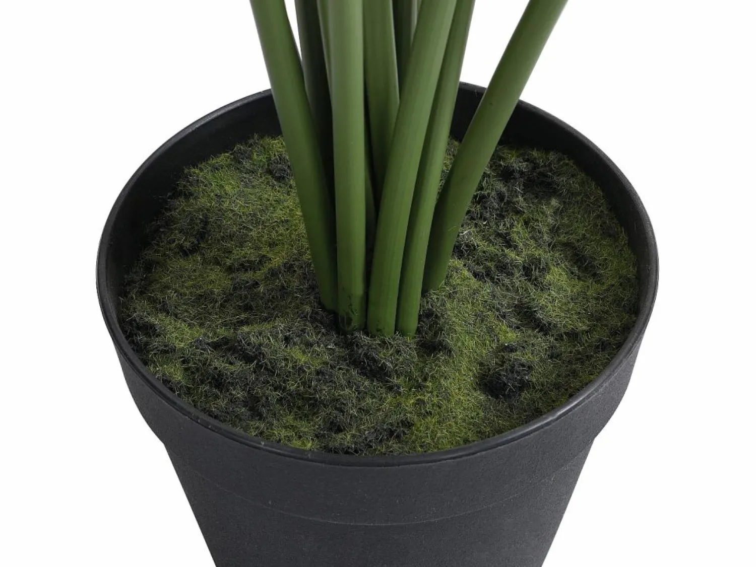 OZAIA Árbol, planta, arbusto artificial palmera - Alt. 170 x Ancho 80 cm - - PALMITA