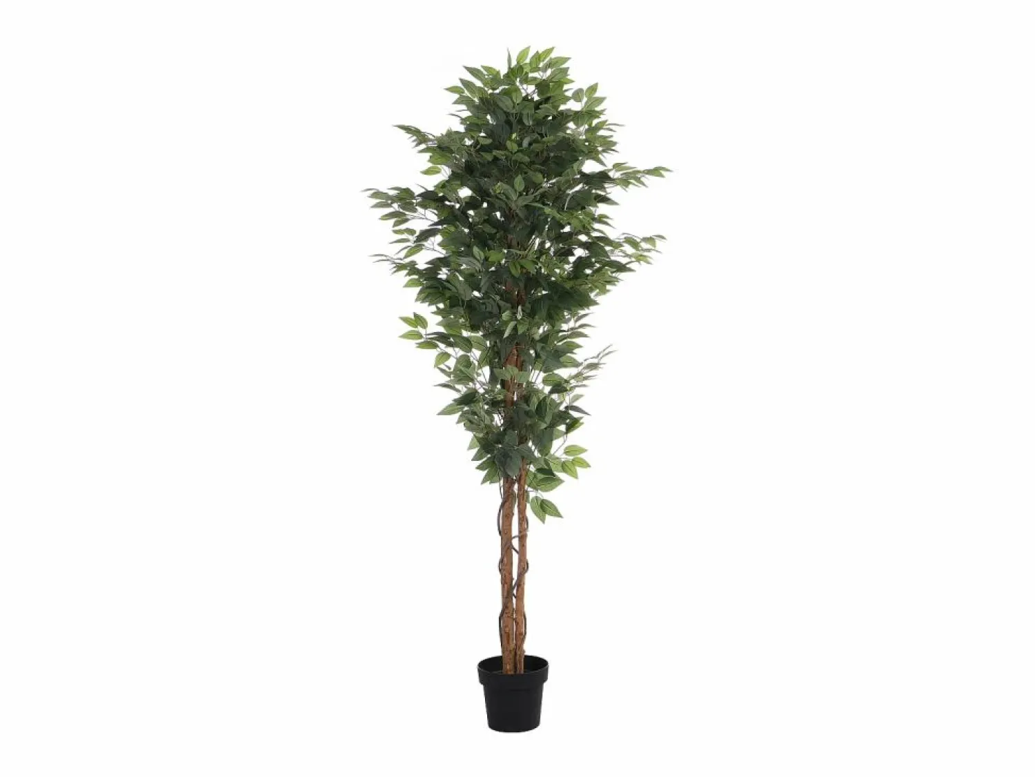 OZAIA Árbol, planta, arbusto artificial ficus - Alt. 180 x Ancho 60 cm - - VALOPA