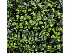 Discount Rollo jardin vertical boj 100 x 100 cm 1X1 M Planta Artificial