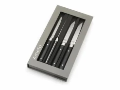 Best Amefa Set de 4 cuchillos para carne Fusion Noir - Hoja lisa y mango de ABS - 22 cm Negro