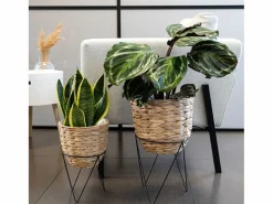 Set de 2 maceteros Jacinto MOA Vinthera natural