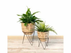Set de 2 maceteros Jacinto MOA Vinthera natural