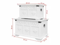 vidaxl Set de baúles de almacenamiento 2 unidades Blanco